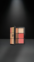 HD SKIN Palette all in one